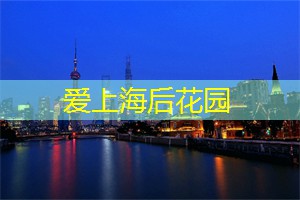 夜上海,挖掘华丽夜色下的新奇探险 夜上海,挖掘华丽夜色下的新奇探险