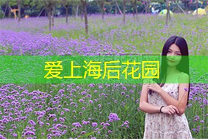 华丽夜上海:夜幕下的时尚购物之旅! 华丽夜上海:夜幕下的时尚购物之旅!