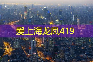 上海419论坛：思享：走进夜晚城市生活的反思